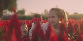 一个亚洲女人带着两个女儿在日落时分的向日葵农场。