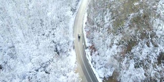 从空中俯瞰一条穿过冰冻森林的道路