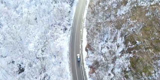 汽车行驶在通往森林的雪路上