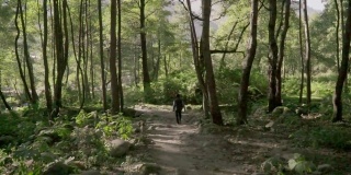 一个男人走在山间的小树林里