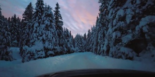在森林中央的雪地上开车
