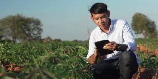 农民在田里用数码平板电脑