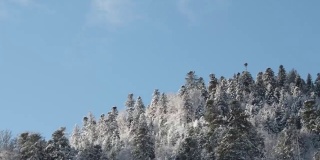 在法国孚日，冬天的山脉森林覆盖着蓝色的天空和蓬松的云