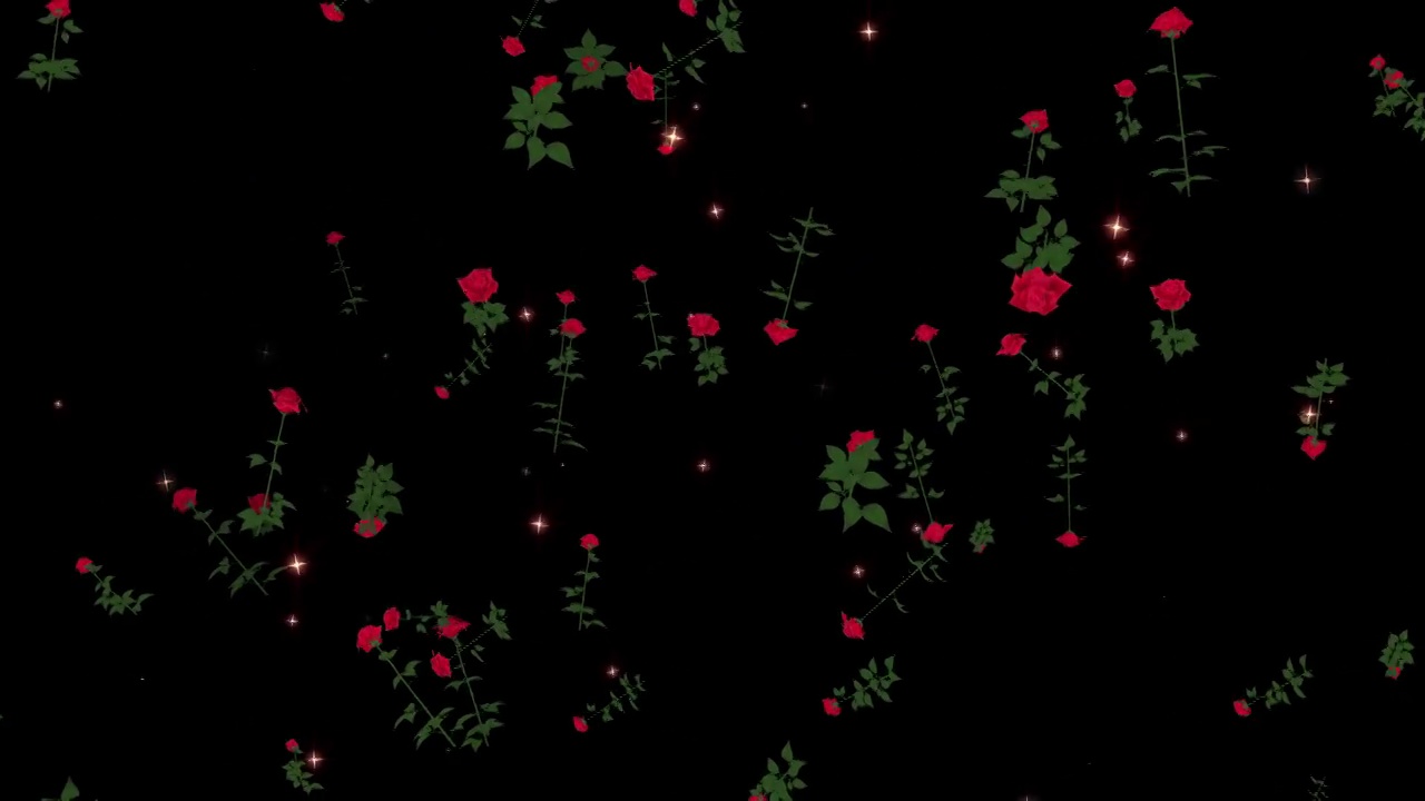 玫瑰花粒子循环动画