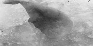 山径上的鞋印上融化的冰，低角度视角。