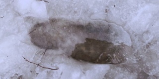 山径上的鞋印上融化的冰，低角度视角。