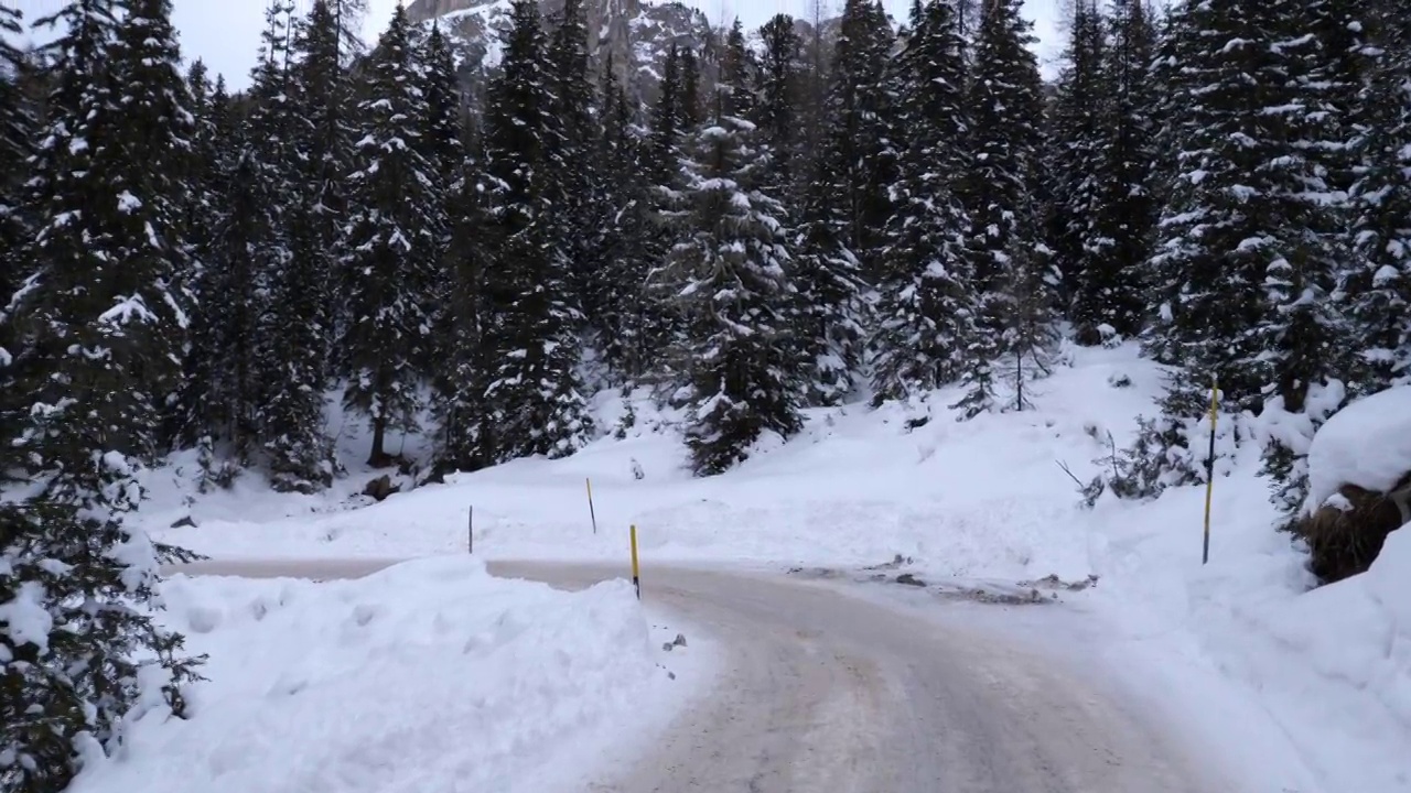 雪山上有树，远处有高高的岩石，高山之间有雪路