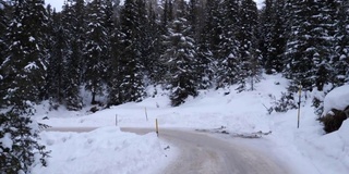 雪山上有树，远处有高高的岩石，高山之间有雪路