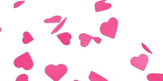 飘落的粉红色的心，心图标雨孤立的背景-情人节动画