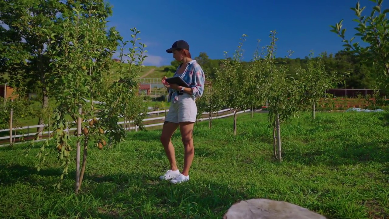 夏天，一个年轻的女人在果园里散步，看未成熟的梨