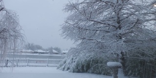 雪花轻轻地飘落在有一棵松树的有栅栏的院子里，鸟池也同样被雪覆盖着
