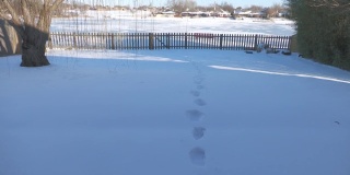 步行镜头，沿着雪地上的脚印走向结冰的湖