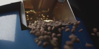 烤好的咖啡豆从冰箱里掉了出来。阿拉比卡咖啡豆被倒在地上并旋转。工业烘焙和生产，咖啡工业