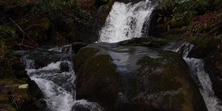 哈士奇瀑布环绕着巨石