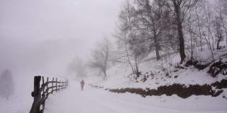 山腰上起了雾，覆盖了游客们快速穿行的硬木路边