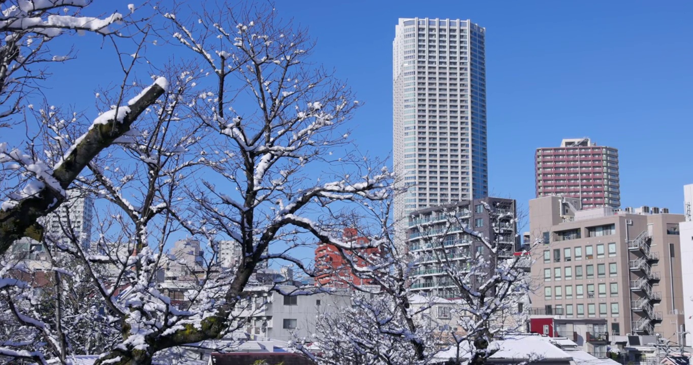 雪和美丽的蓝天在东京的城市