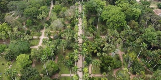 巴西里约热内卢植物园，无人机鸟瞰图，2022年