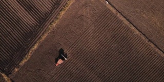 无人机视角的农民驾驶拖拉机作物种植机在田间