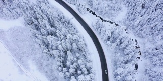 鸟瞰冬季道路和白雪覆盖的松树。