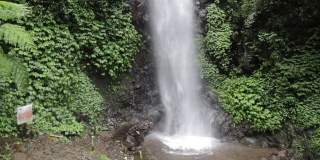 热带森林中的自然瀑布镜头