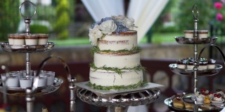 美丽的婚礼蛋糕装饰着鲜花和一些小沙漠。