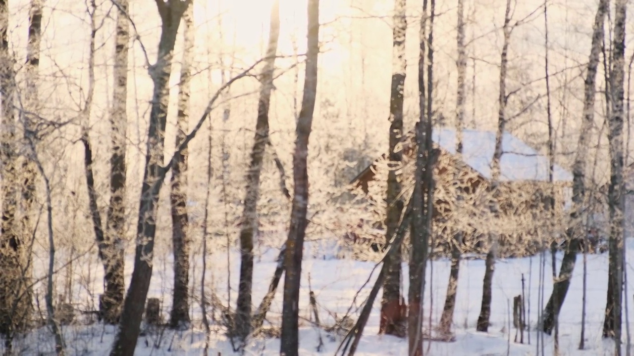 模糊，散焦的视频降雪在阳光村。美丽的冬季景观，雪和模糊的树木背景。阳光和下雪的天气，霜冻的寒冷的日子，黄色温暖的阳光。日落。4 k