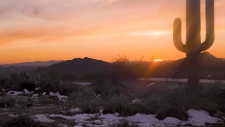 仙人掌和冬天沙漠中的日落。视频素材模板下载