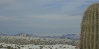 沙漠中的雪