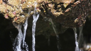 泉水涌上山岭，流过岩石。水源是地下水或从地表涌出的水视频素材模板下载