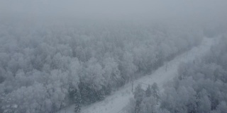 在雾中飞过雪原森林