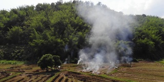 泰国焚烧农作物