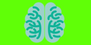 人脑在绿色屏幕背景上的动画