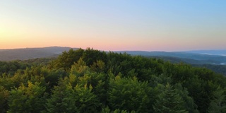 明亮的夏日日出，幽暗的树林上充满了生机勃勃的雾晨。黎明时分野生森林的令人惊叹的景色