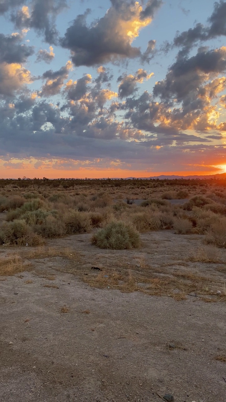 沙漠早晨日出垂直视频平移与云和橙蓝色的天空
