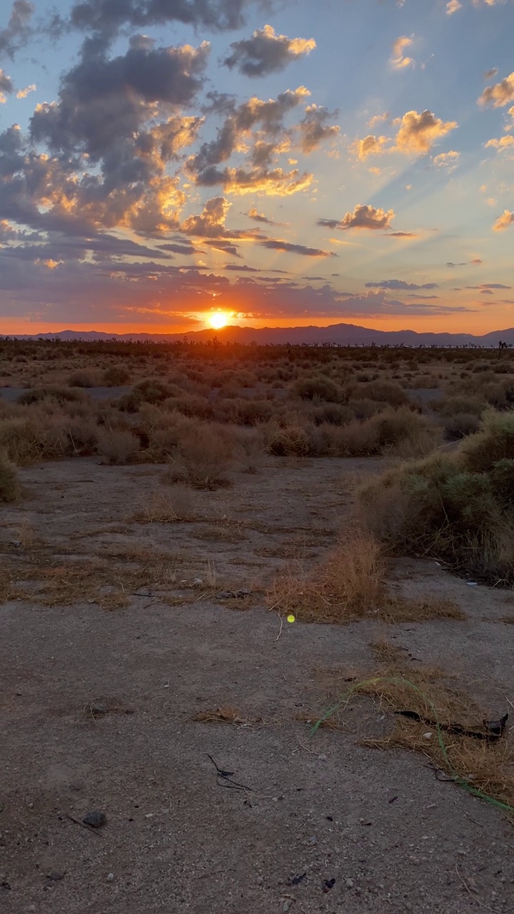 清晨日出的垂直视频向沙漠地面平移