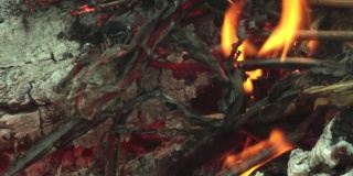 烟，干树枝燃烧，火燃烧。燃烧的木炭