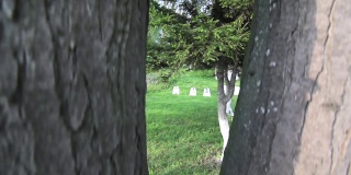 军队墓地的十字架放置在墓地的尽头混凝土和高大的树木