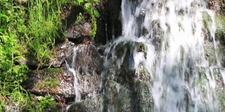 好地方，山上有瀑布。水流过长满青苔的岩石。它看到了丰富的植被，草绿色