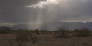 亚利桑那州沙漠遭遇暴雨