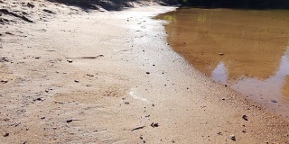 女人的腿在运动鞋的特写沿着沙河海滩散步