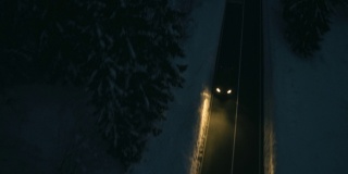 汽车在雪原森林附近行驶