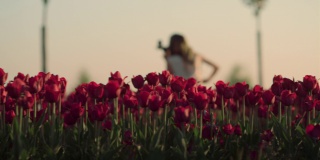 女音乐家在郁金香领域的后视图。不知名的女孩在公园里拉大提琴。