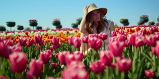 镜头追踪着一个戴着太阳帽的漂亮女孩，她正坐在红色的郁金香田里摆姿势。