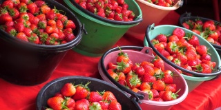露天市场上一桶桶熟透的红草莓出售。草莓的季节