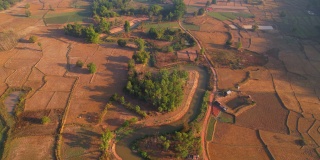 鸟瞰农村农民的农田。环境与生态。4 k无人机的画面。那空泰国,泰国
