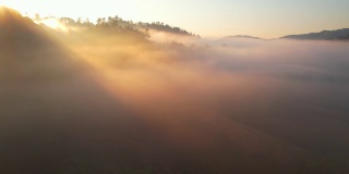 无人机在雾蒙蒙的森林上空拍摄的鸟瞰图，背景是阳光和山脉。运动中的自然背景。4 k