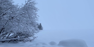 冬季降雪景观