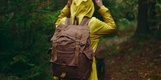 慢镜头，女性在秋天的森林远足。大胆的女人在黄色户外穿着背包徒步在trail和平的绿色森林与跟踪镜头从后面