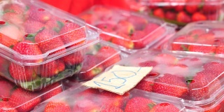 近距离观察当地农贸市场塑料盒里的新鲜有机草莓