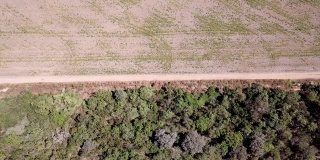 鸟瞰图，大豆种植园对巴西森林的影响。人工林和森林之间的土地。在巴西农业。